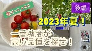 園芸LABOトマトの一番糖度が高い品種を探せ！後編