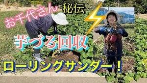 お千代さん秘伝、芋づる回収ローリングサンダー！