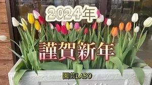 2024年 園芸LABOの謹賀新年