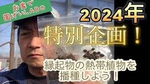 お家で園芸LABO! 2024年特別企画!! 縁起物熱帯植物を播種しよう!!!