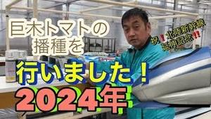 巨木トマトの播種を行いました！2024年！！祝、北陸新幹線延伸記念