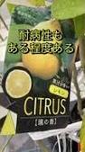 3月24日は「璃の香」の鉢植え講座！その前に！！