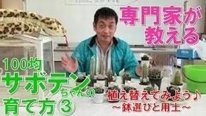 100均サボテンちゃん講座（３）