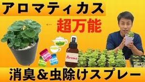 超万能!! アロマティカスで消臭＆虫除けスプレー!!