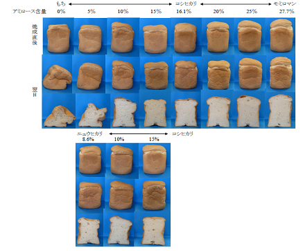 アミロース含量とパンの外観