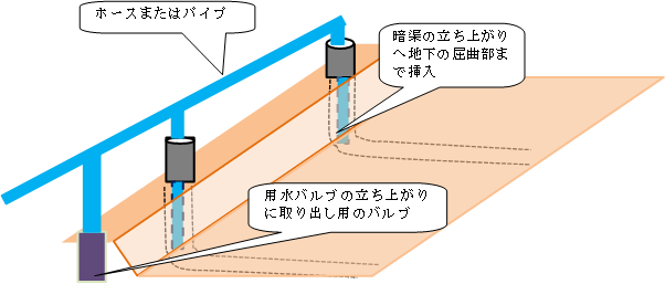 簡易な大豆の地下潅水システム