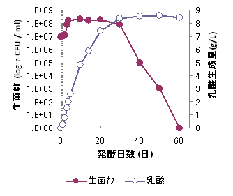 発酵期間と生菌数