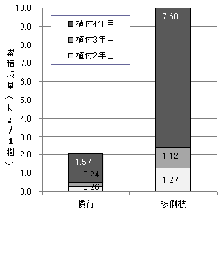 収量の違い