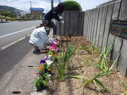 花の植栽