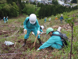 植樹の様子２