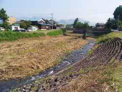 除草完了後