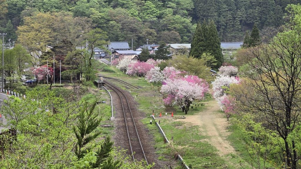勝原