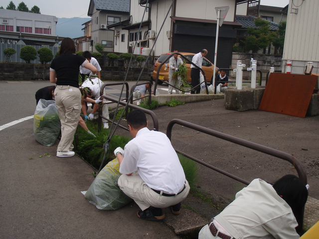 道路脇の草を刈る職員