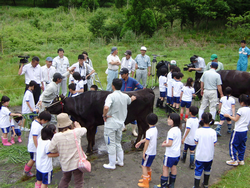 みんなでわいわいお出迎え