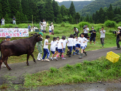 さあ！放牧地へ！