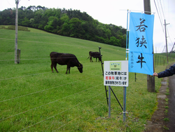 案内板と幟