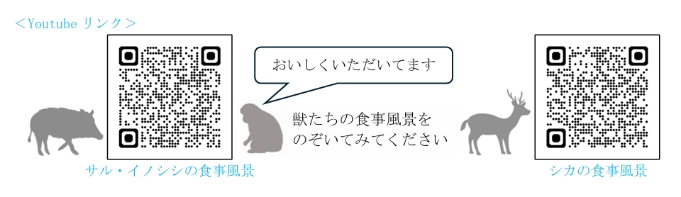 鳥獣害対策ふくい