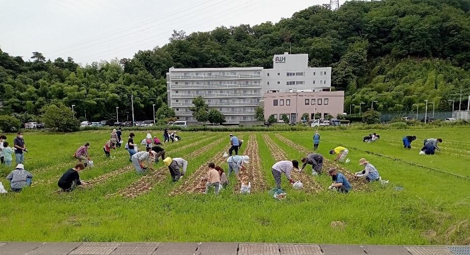 収穫祭の様子