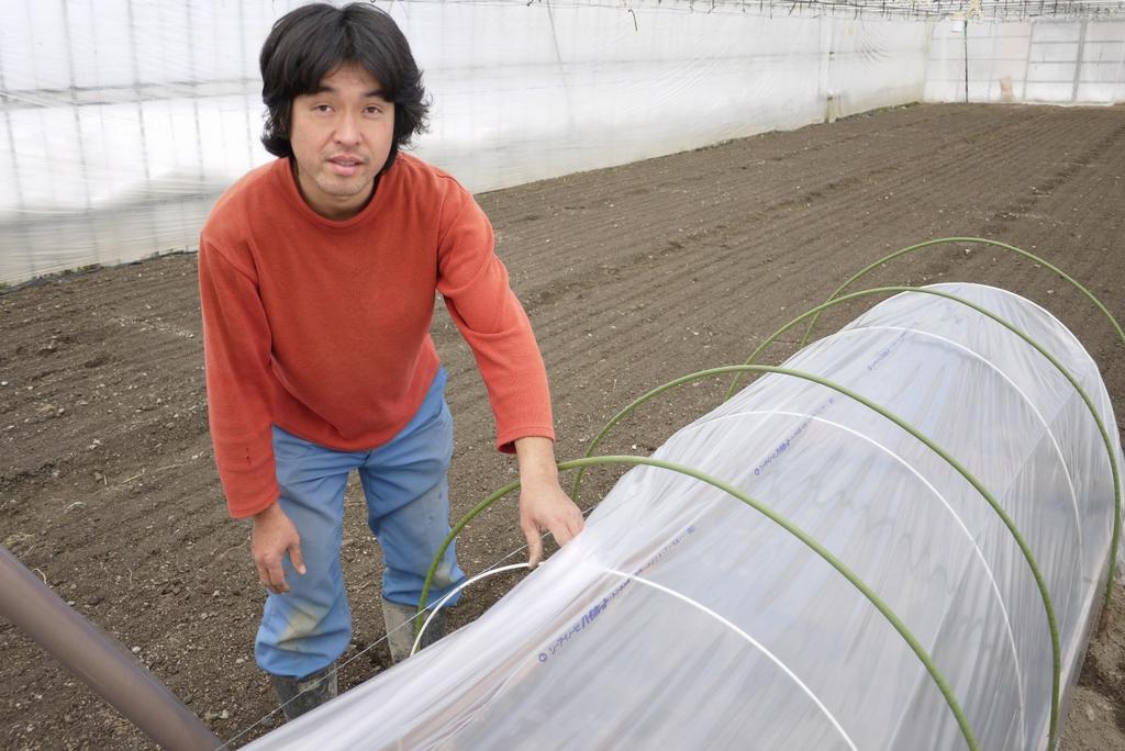 野菜は育苗から