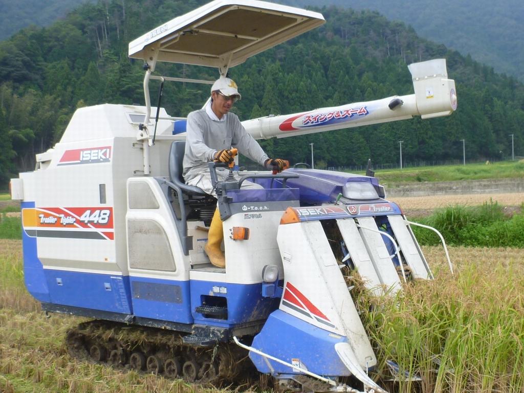 生き物いっぱいの田んぼで育ったイネの収穫