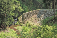 アカタン砂防奥の東堰堤