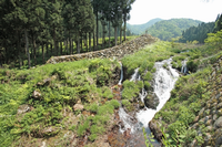 アカタン砂防九号堰堤