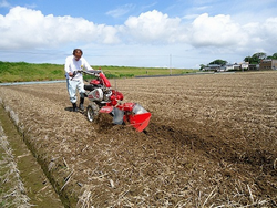 管理機による圃場準備