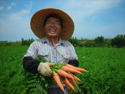 大賞受賞作品「越前にんじん」