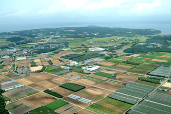 坂井北部丘陵地・航空写真