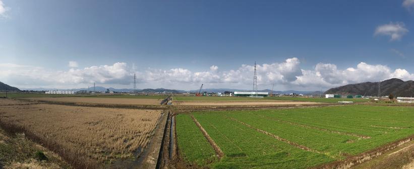 31年3月高架橋（中野町付近）