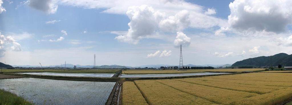 R1年6月高架橋（中野町付近）
