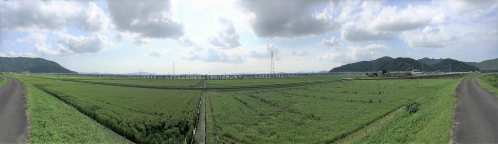 R4年7月高架橋（中野町付近）