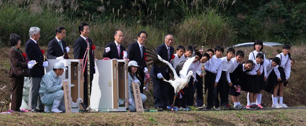 放鳥シーン