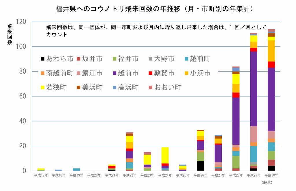 野外コウノトリ