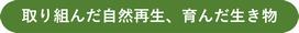 取り組んだ自然再生