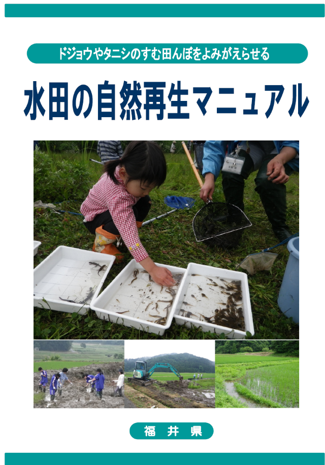 水田の自然再生マニュアル　表紙