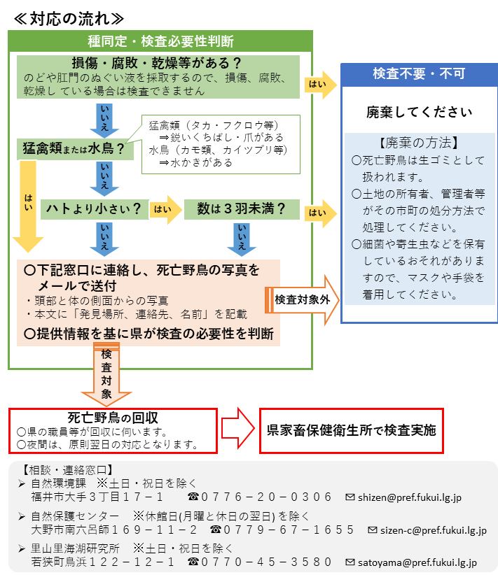 死亡野鳥を見つけたら