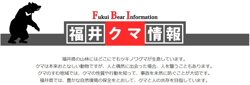 クマ公開システム