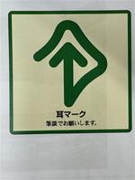 clean_service2