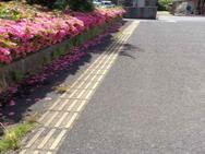 若健・前