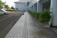 武道・前