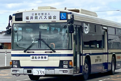 bus