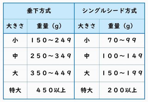 大きさの規格