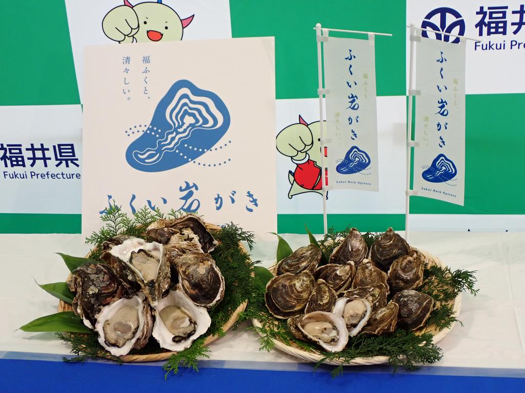 ふくい岩がき1