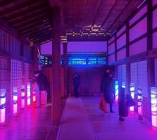daiannji_dijitalart02
