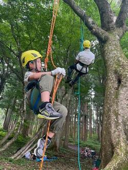 ツリークライミング