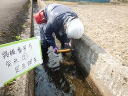 水路機能診断