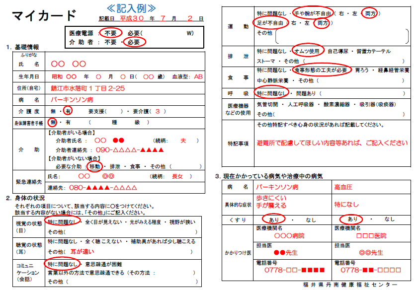 記入例