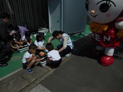 人権の花運動　写真１