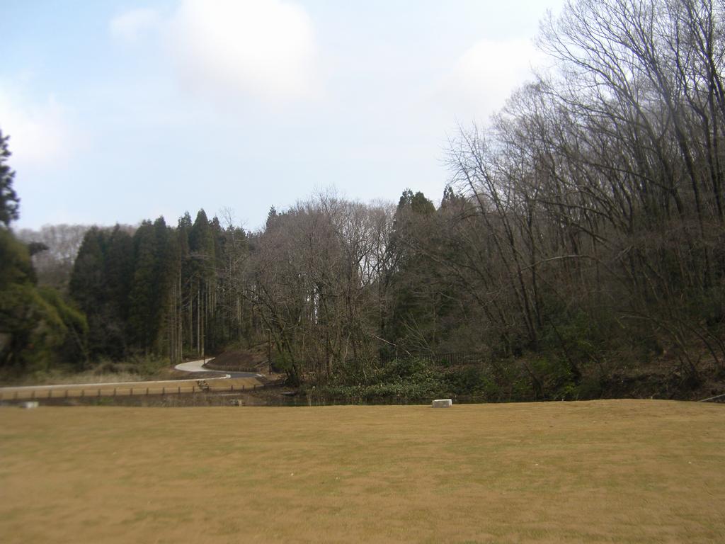 芝生広場とビオトープ